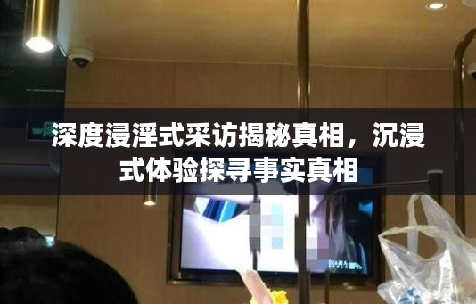 深度浸淫式采访揭秘真相,沉浸式体验探寻事实真相