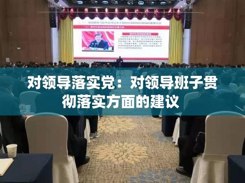 对领导落实党:对领导班子贯彻落实方面的建议
