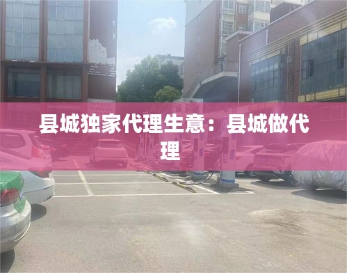 县城独家代理生意:县城做代理
