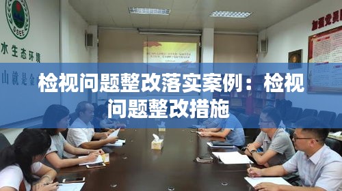 检视问题整改落实案例:检视问题整改措施