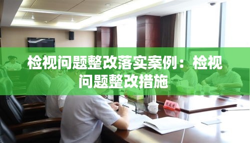 检视问题整改落实案例:检视问题整改措施