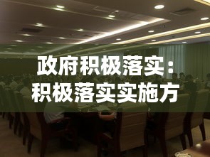 政府积极落实:积极落实实施方案