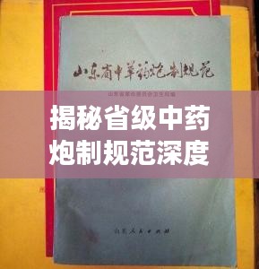 明夷于飞 第3页