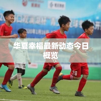 华夏幸福最新动态今日概览
