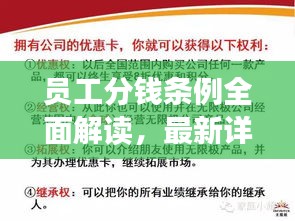 员工分钱条例全面解读,最新详解揭秘!