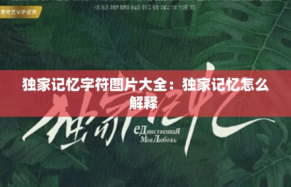 独家记忆字符图片大全:独家记忆怎么解释