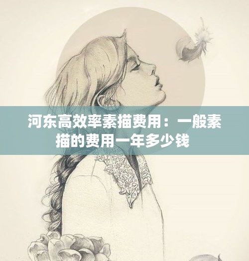 河东高效率素描费用:一般素描的费用一年多少钱
