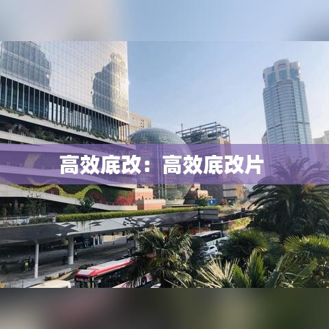 高效底改:高效底改片