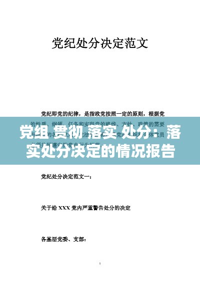 党组 贯彻 落实 处分:落实处分决定的情况报告