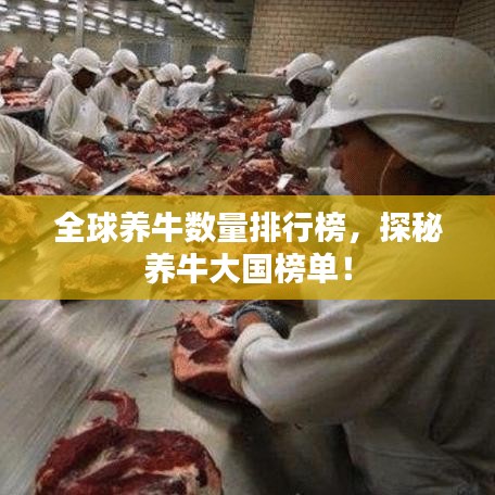 全球养牛数量排行榜,探秘养牛大国榜单!