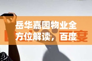 岳华嘉园物业全方位解读,百度视角下的物业服务深度洞察
