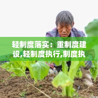 轻制度落实:重制度建设,轻制度执行,制度执行不严问题