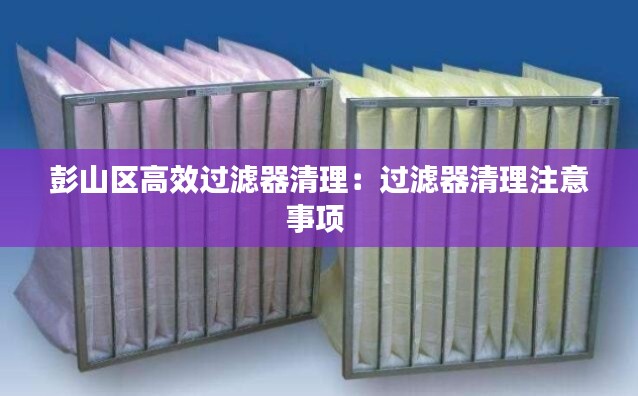 彭山区高效过滤器清理:过滤器清理注意事项