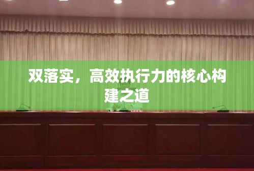 双落实,高效执行力的核心构建之道