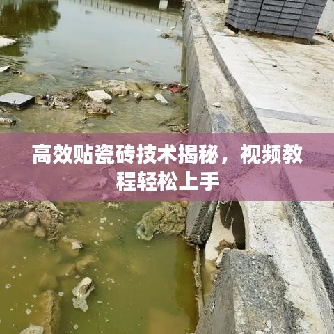 打马虎眼 第3页