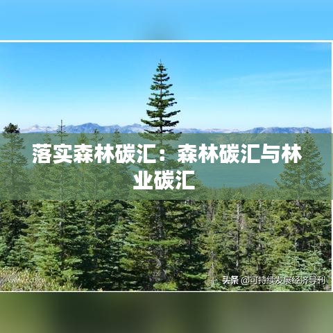落实森林碳汇:森林碳汇与林业碳汇