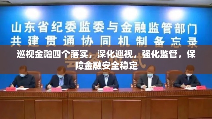 巡视金融四个落实,深化巡视,强化监管,保障金融安全稳定