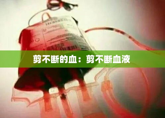 剪不断的血:剪不断血液