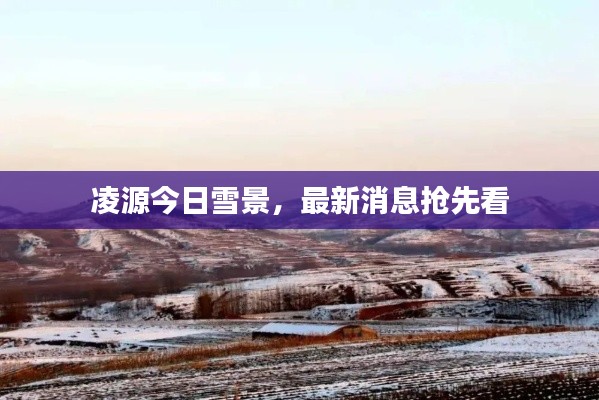 凌源今日雪景,最新消息抢先看