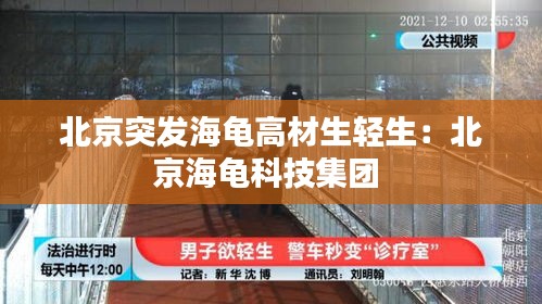 北京突发海龟高材生轻生:北京海龟科技集团