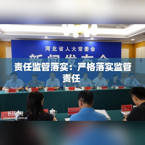 责任监管落实:严格落实监管责任