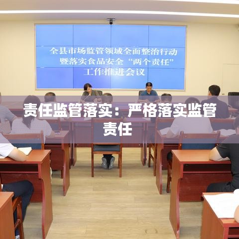 责任监管落实:严格落实监管责任