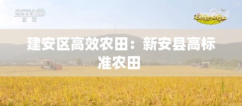 建安区高效农田:新安县高标准农田