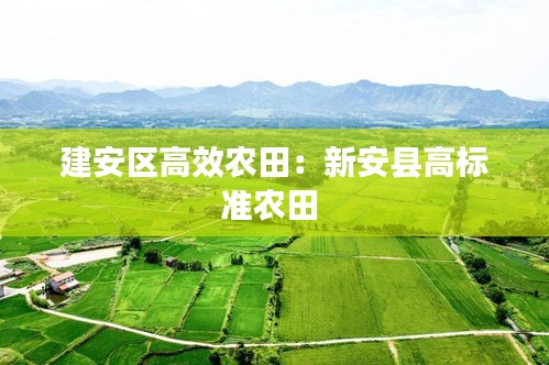 建安区高效农田:新安县高标准农田