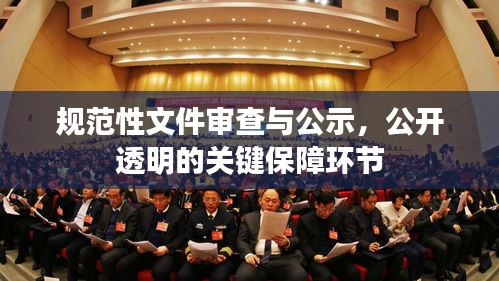 规范性文件审查与公示,公开透明的关键保障环节