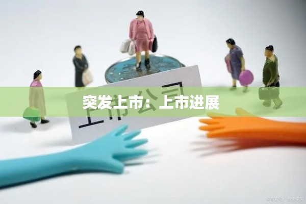 突发上市:上市进展