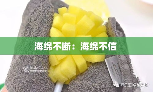 海绵不断:海绵不信