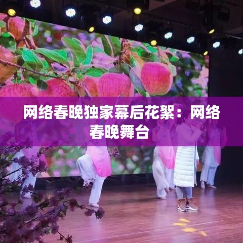 网络春晚独家幕后花絮:网络春晚舞台
