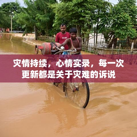 灾情持续,心情实录,每一次更新都是关于灾难的诉说