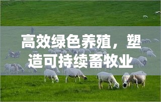 高效绿色养殖,塑造可持续畜牧业未来