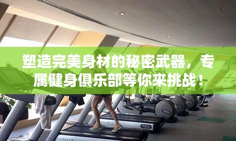 塑造完美身材的秘密武器,专属健身俱乐部等你来挑战!