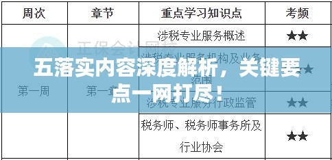 五落实内容深度解析,关键要点一网打尽!