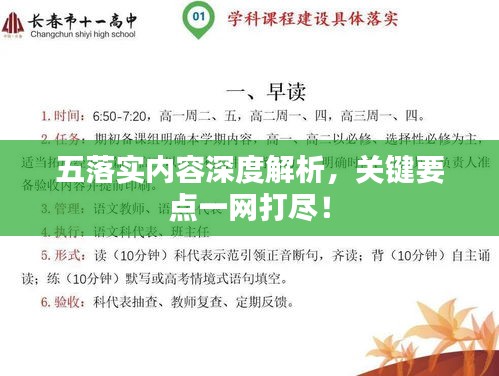 五落实内容深度解析,关键要点一网打尽!