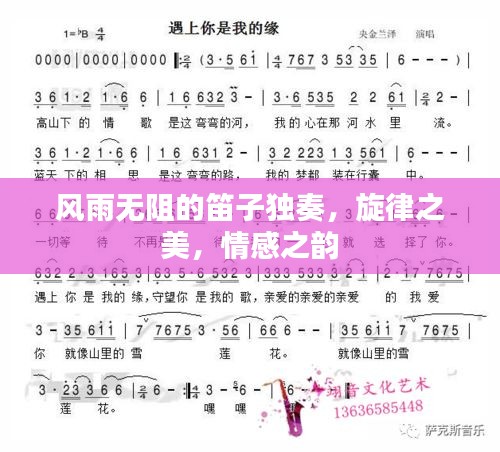 风雨无阻的笛子独奏,旋律之美,情感之韵