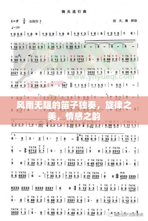 风雨无阻的笛子独奏,旋律之美,情感之韵