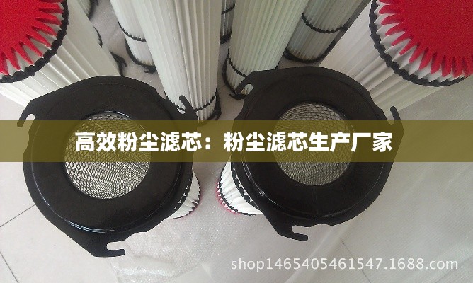 高效粉尘滤芯:粉尘滤芯生产厂家