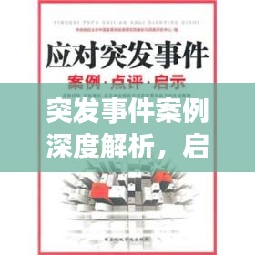 突发事件案例深度解析,启示与借鉴
