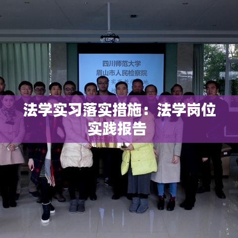 法学实习落实措施:法学岗位实践报告