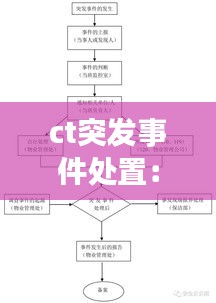 ct突发事件处置:突发事件现场处置流程图
