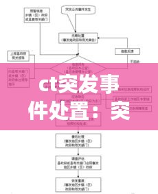 ct突发事件处置:突发事件现场处置流程图