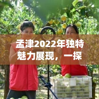 孟津2022年独特魅力展现,一探这片土地的魅力风采