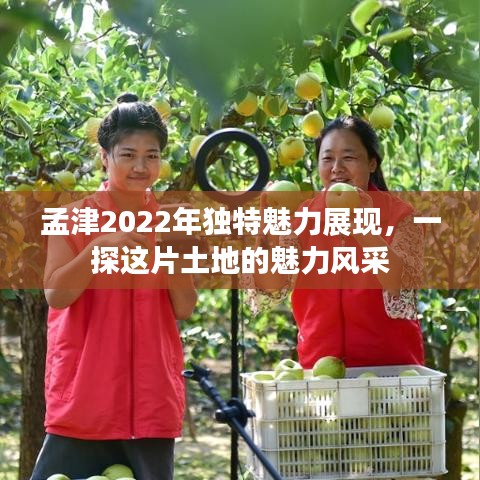 孟津2022年独特魅力展现,一探这片土地的魅力风采