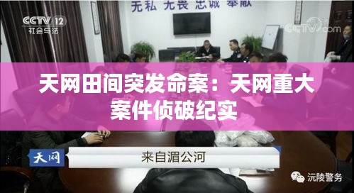 天网田间突发命案:天网重大案件侦破纪实