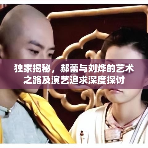 独家揭秘,郝蕾与刘烨的艺术之路及演艺追求深度探讨