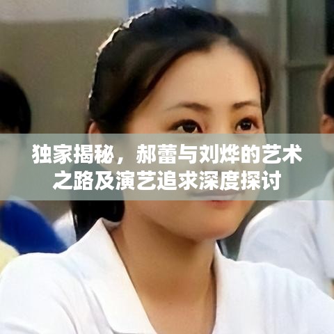 独家揭秘,郝蕾与刘烨的艺术之路及演艺追求深度探讨