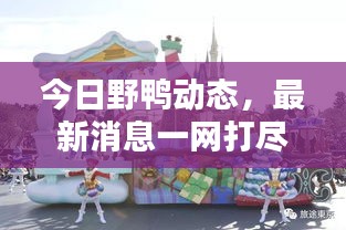 今日野鸭动态,最新消息一网打尽